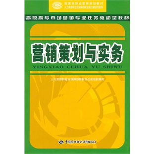 營銷策劃與實(shí)務(wù) 構(gòu)建高效市場營銷策劃的框架與實(shí)踐